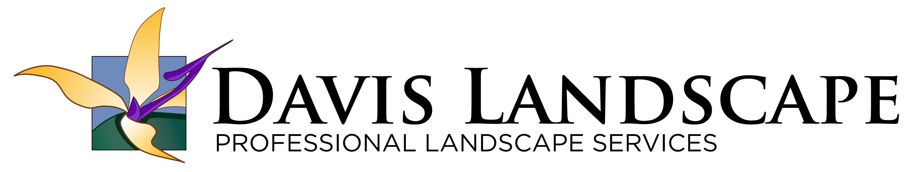 david landscape logo